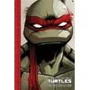 KNYGA Kevin B Eastman Teenage Mutant Ninja Turtles: The IDW Collection Volume 1