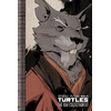 KNYGA Kevin B Eastman Teenage Mutant Ninja Turtles: The IDW Collection Volume 2