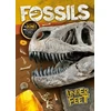 KNYGA Kirsty Holmes Fossils