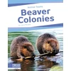 KNYGA Laura Perdew Beaver Colonies
