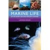 KNYGA Lawson Wood Marine Life of the North Sea and English Channel