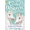 KNYGA Linda Chapman My Secret Unicorn: A Special Friend