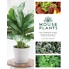 KNYGA Lisa Eldred Steinkopf Houseplants