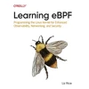 KNYGA Liz Rice Learning eBPF