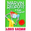 KNYGA Louis Sachar A Magic Crystal?