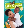 KNYGA Louise Nelson Life Cycles