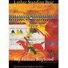 KNYGA Luther Standing Bear My Indian Boyhood