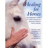 KNYGA Margrit Coates For Horses