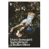 KNYGA Mario Benedetti Springtime in a Broken Mirror