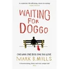 KNYGA Mark Mills Waiting For Doggo
