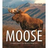 KNYGA Mark Raycroft Moose