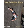 KNYGA Mark Reeves North Wales Slate