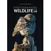 KNYGA Marshall Photographing Wildlife in the UK