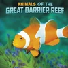 KNYGA Martha E. H. Rustad Animals of the Great Barrier Reef