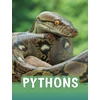 KNYGA Martha E Rustad Pythons