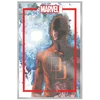 KNYGA The Marvel Portfolio of David Mack