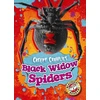 KNYGA Megan Borgert Spaniol Juodas Widow Spiders