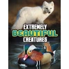 KNYGA Megan Cooley Peterson Extremely Beautiful Creatures