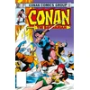 KNYGA Michael Fleisher Conan The Barbarian: The Original Comics Omnibus Vol.6