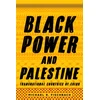 KNYGA Michael R Fischbach Juodas Power and Palestine