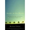 KNYGA Michael Stone Awake in the World