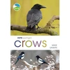 KNYGA Mike Unwin RSPB Spotlight Crows