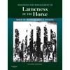 KNYGA Mike W Ross Diagnosis and Management of Lameness in the Horse