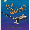 KNYGA Monica Hughes Bug Club Phonics - Phase 3 Unit 7: Is It Quick?