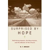 KNYGA N T Wright Surprised by Hope