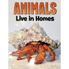 KNYGA Nadia Ali Animals Live in Homes