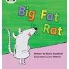 KNYGA Nicola Sandford Bug Club Phonics - Phase 2 Unit 5: Big Fat Rat