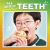 KNYGA Nicole A Mansfield All About Teeth
