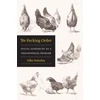 KNYGA Niko Kolodny Pecking Order