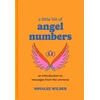 KNYGA Novalee Wilder Little Bit of Angel Numbers