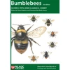 KNYGA Oliver E. Prys-Jones Bumblebees
