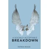 KNYGA Patrick Roche Socially Acceptable Breakdown