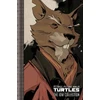 KNYGA Paul Allor Teenage Mutant Ninja Turtles: The IDW Collection Volume 2