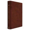 KNYGA Paul David Tripp ESV Everyday Gospel Bible