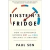 KNYGA Paul Sen Einstein's Šaldytuvas