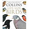 KNYGA Paul Sterry Collins Life-Size Birds