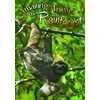 KNYGA Danny Pearson Amazing Animals of the Rainforest