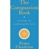 KNYGA Pema Chdrn Compassion Book