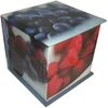 KNYGA Peony Press Memo Block: Berries