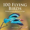 KNYGA Peter Cavanagh 100 Flying Birds