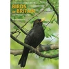 KNYGA Peter Goodfellow Identification Guide to Birds of Britain and Northern Europe (2nd edition)