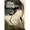 KNYGA Philip Kennedy Bird, The Great Age of Avian Illustration