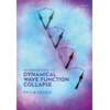 KNYGA Philip Pearle Introduction to Dynamical Wave Function Collapse