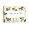KNYGA Princeton Architectural Press Staff Emily Dickinson Notecards