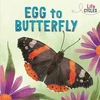 KNYGA Rachel Tonkin Life Cycles: Egg to Butterfly