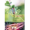 KNYGA Ralf Roessner Light Root